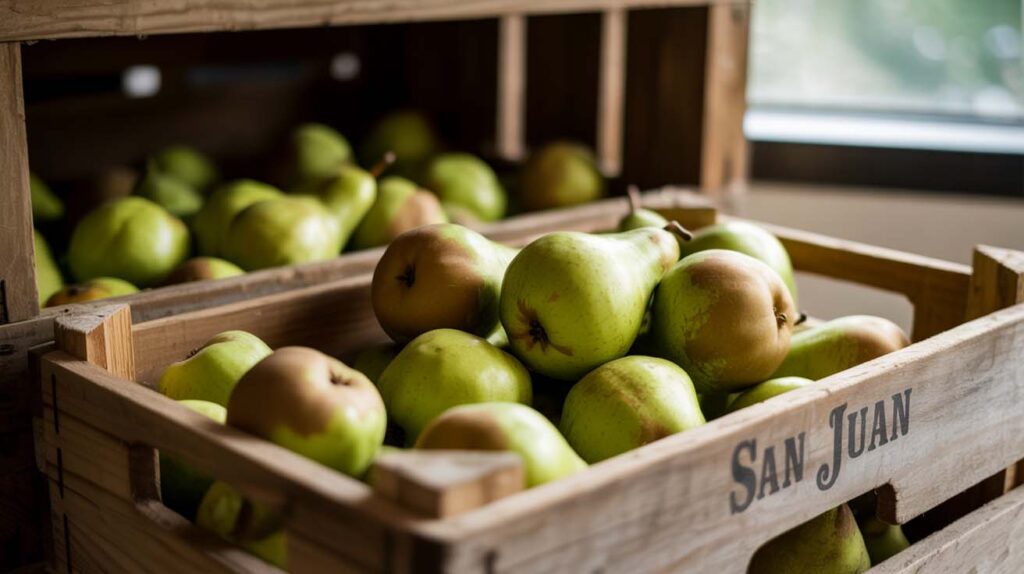 Conservacion y vida util de las peras de San Juan