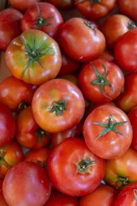 tomate Horts KM 0 Andaní Fruits