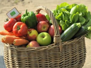 productos ecologicos