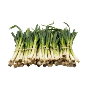 Calçots 25 uds