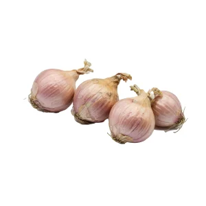 Cebolla de Figueres