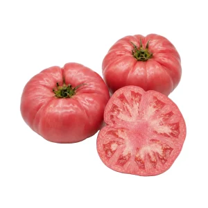 Tomate Pink
